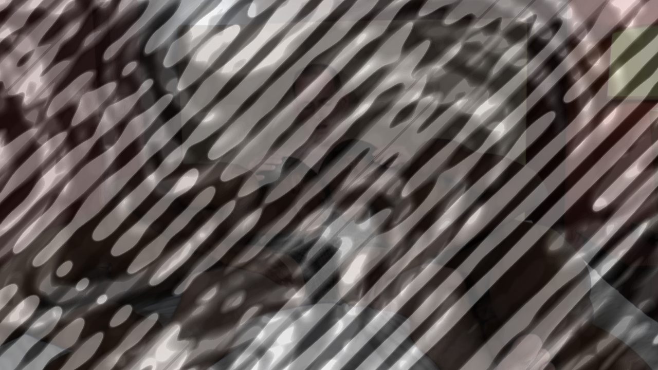 Photo of D-Rel Divided