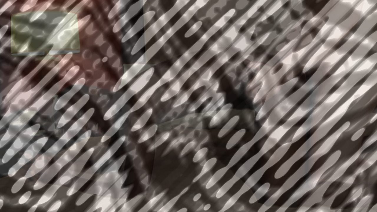 Photo of Noah Goes All The Way