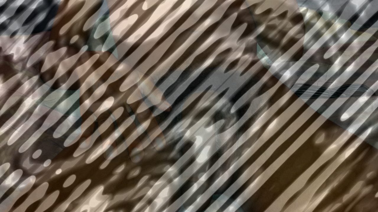 Photo of The Reluctant Rapper