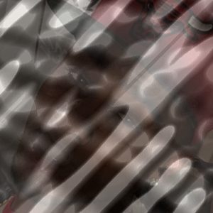 Photo of Hakim