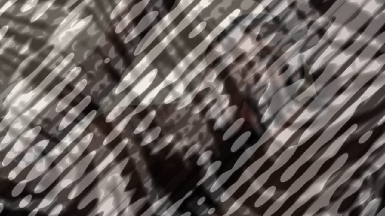 Photo of DJ Earns His Pay