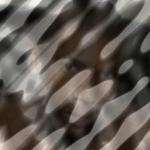 Photo of Young Spazz