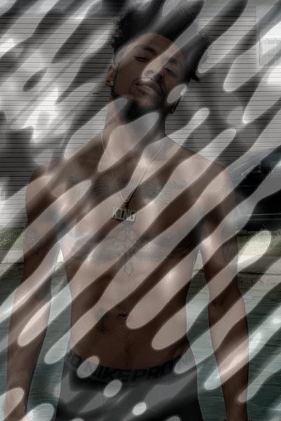 Photo of King Ant