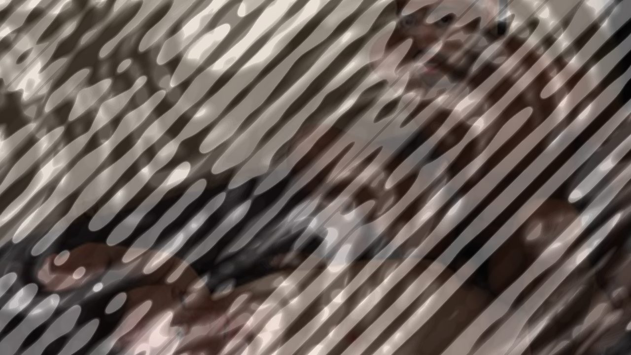 Photo of Tempted By Tori (The Sequel) - Bonus Scene