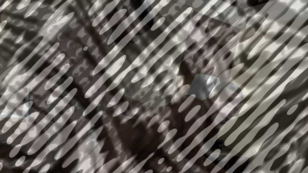 Photo of The Curiosity Test