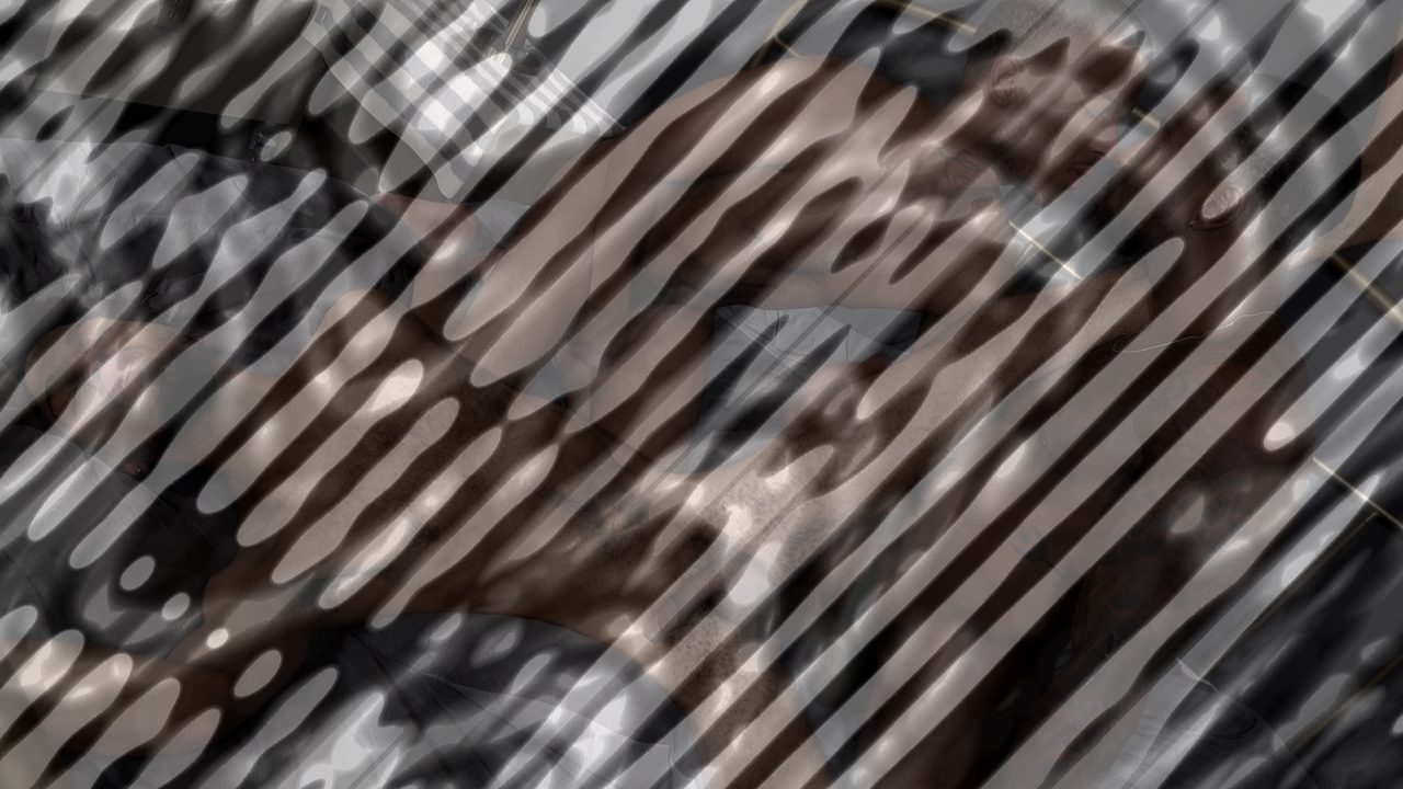 Photo of Stylez Steps In