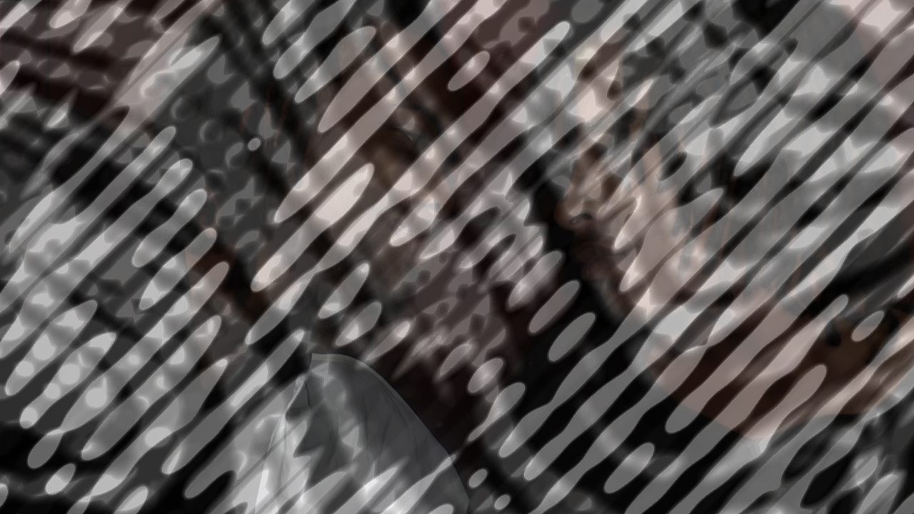 Photo of Shaun: The Next Level
