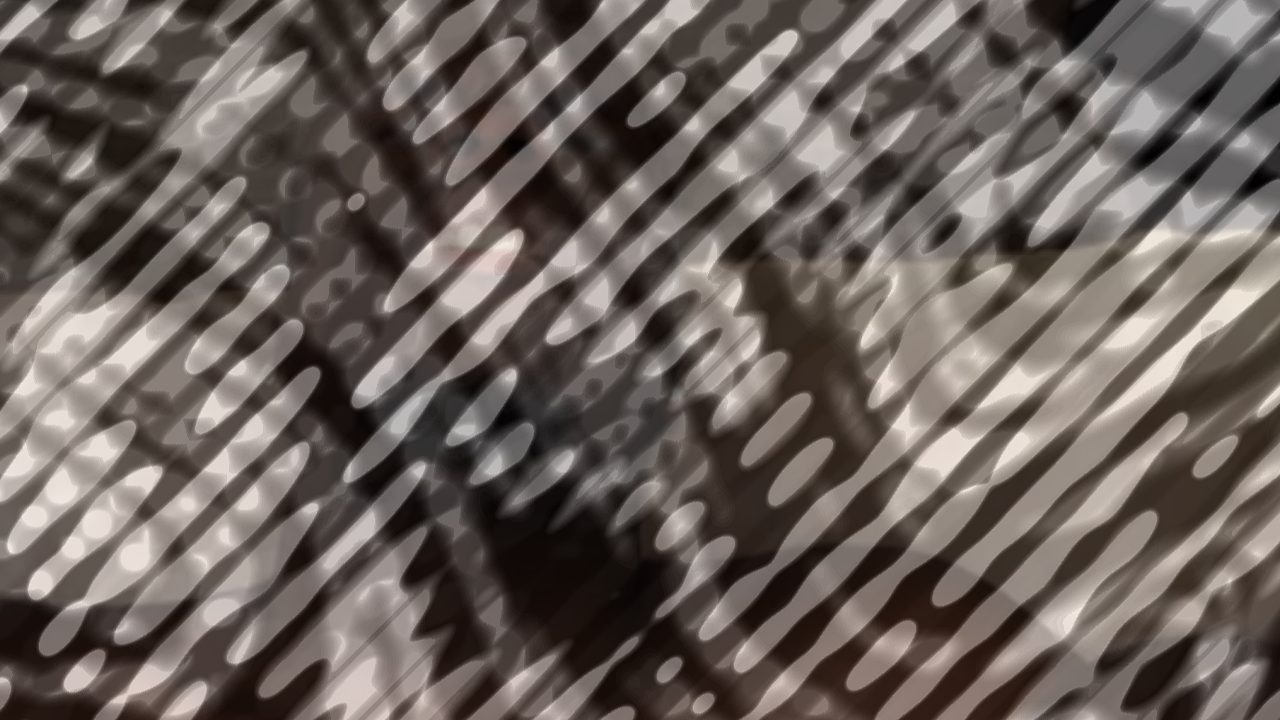 Photo of Noah Goes All The Way