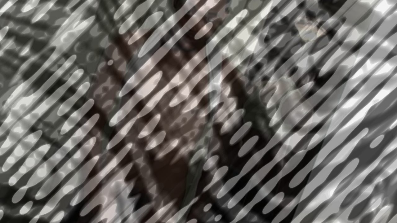 Photo of Introducing: J-Slinga