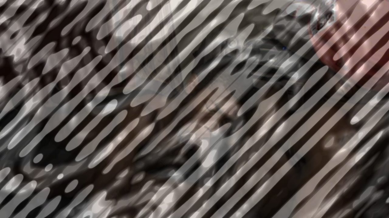 Photo of The Return of Young Spazz