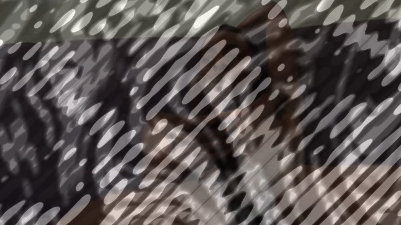 Photo of Private Sessions: K-Snakes