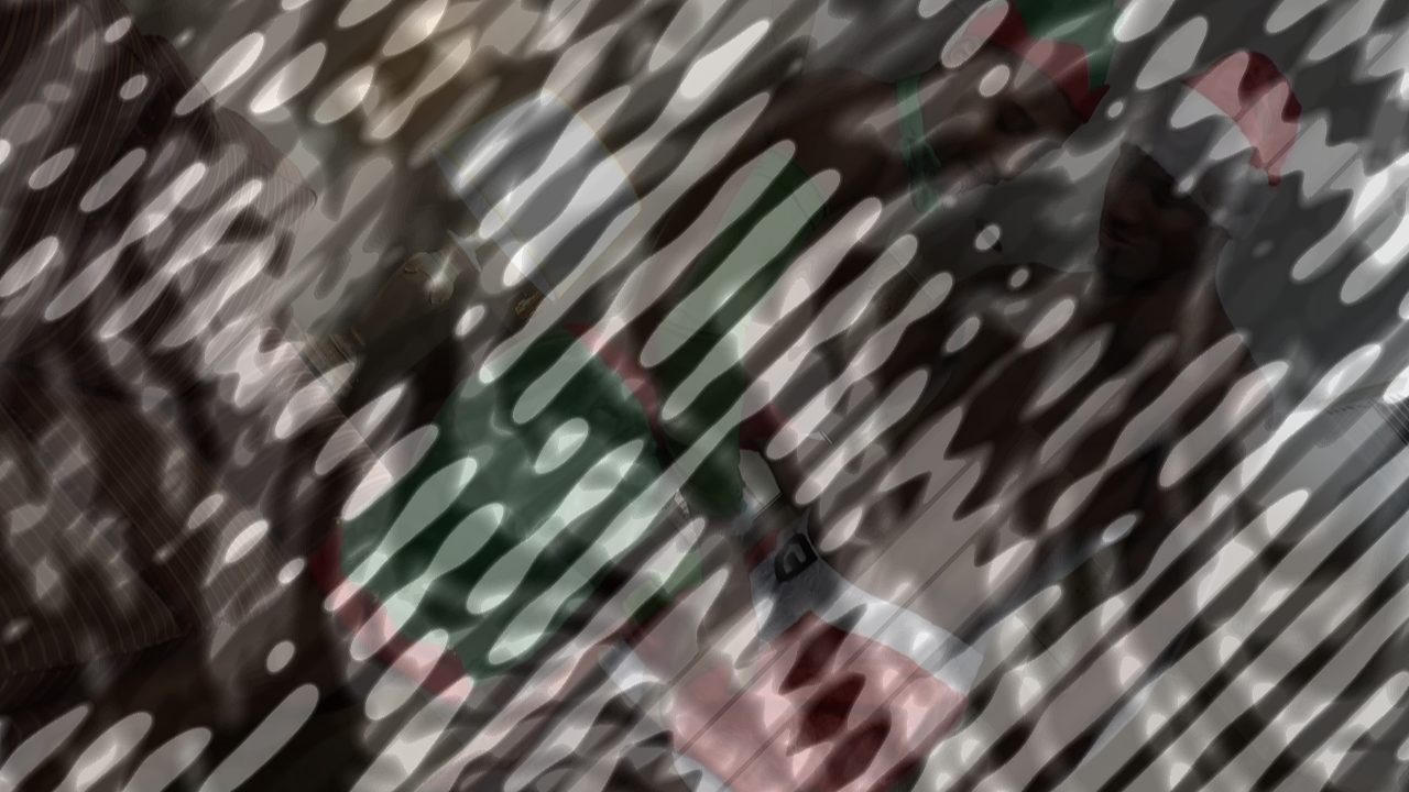 Photo of Staxx In His Stocking