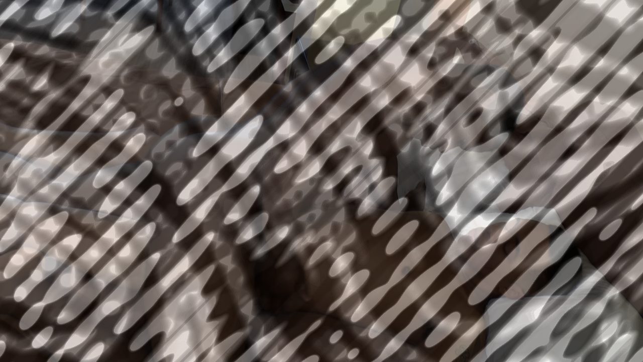 Photo of The Curiosity Test