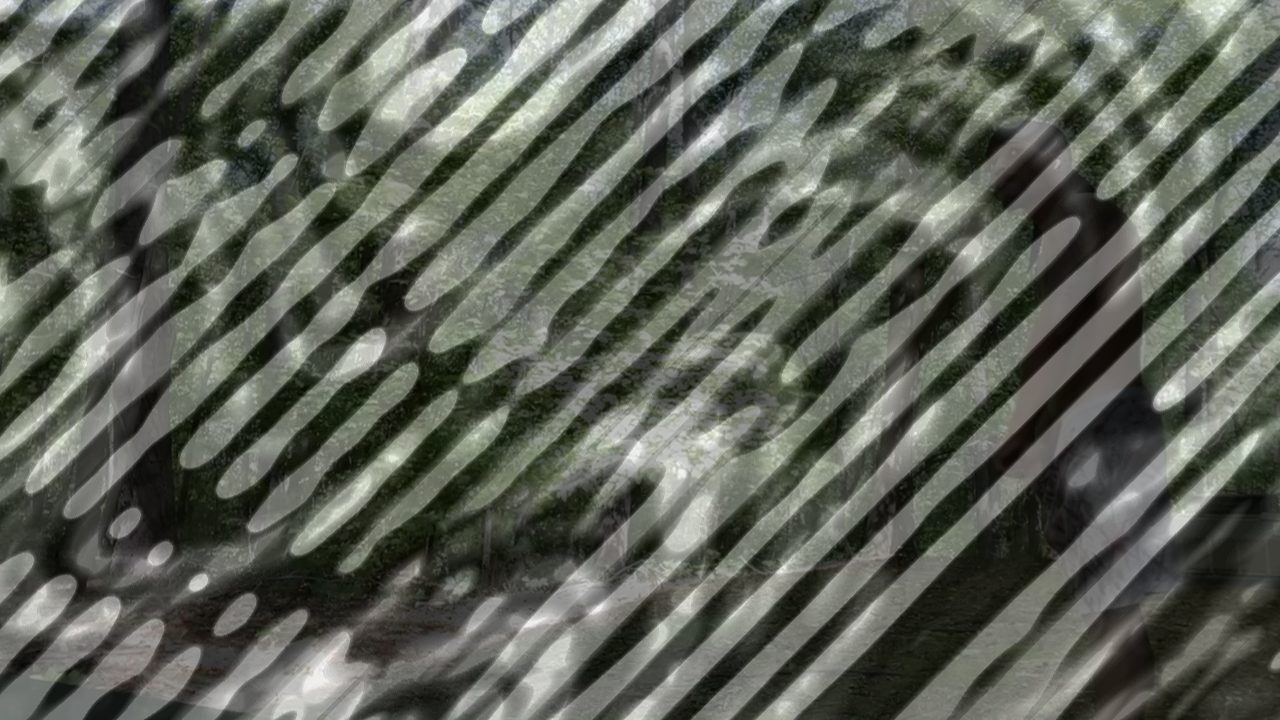 Photo of Quarantine Chronicles #1