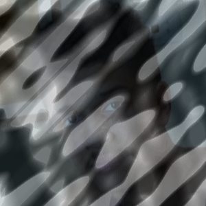 Photo of Armando