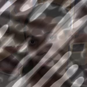 Photo of Shazeer