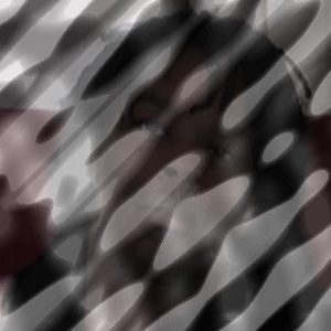 Photo of Shaun