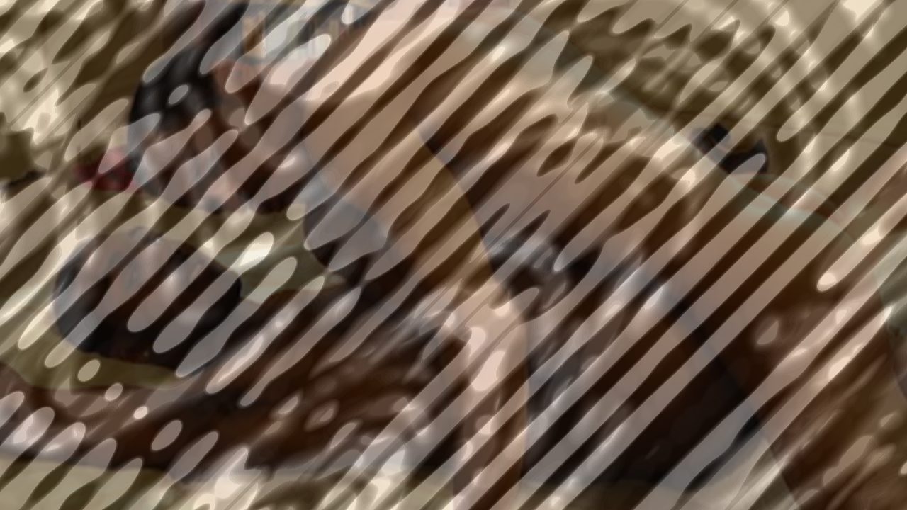 Photo of DJ Gets The Dick He Deserves