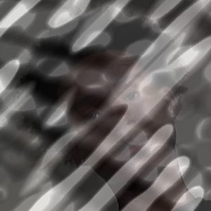 Photo of Taz