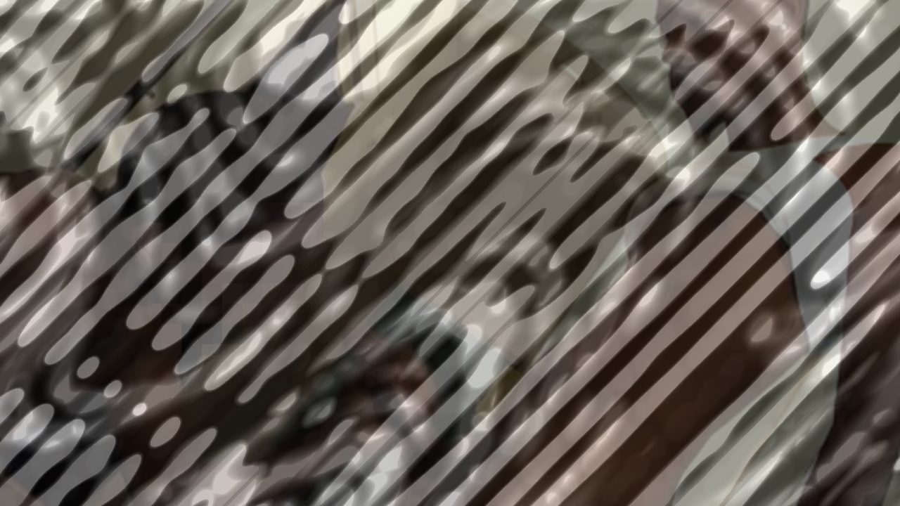 Photo of The Big Dick Bonus