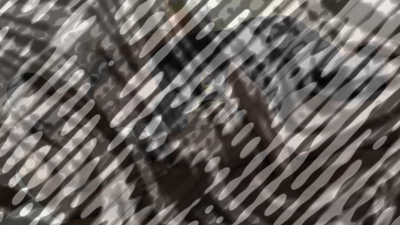 Photo of The Curiosity Test